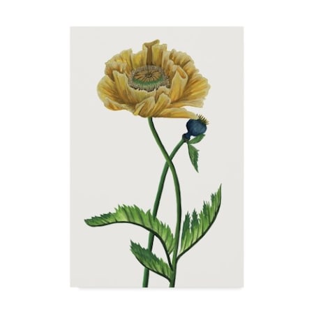 Melissa Wang 'Poppy Flower I' Canvas Art,12x19